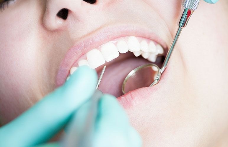 ダミーテキスト