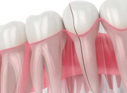 【新着情報】最初のダミー投稿